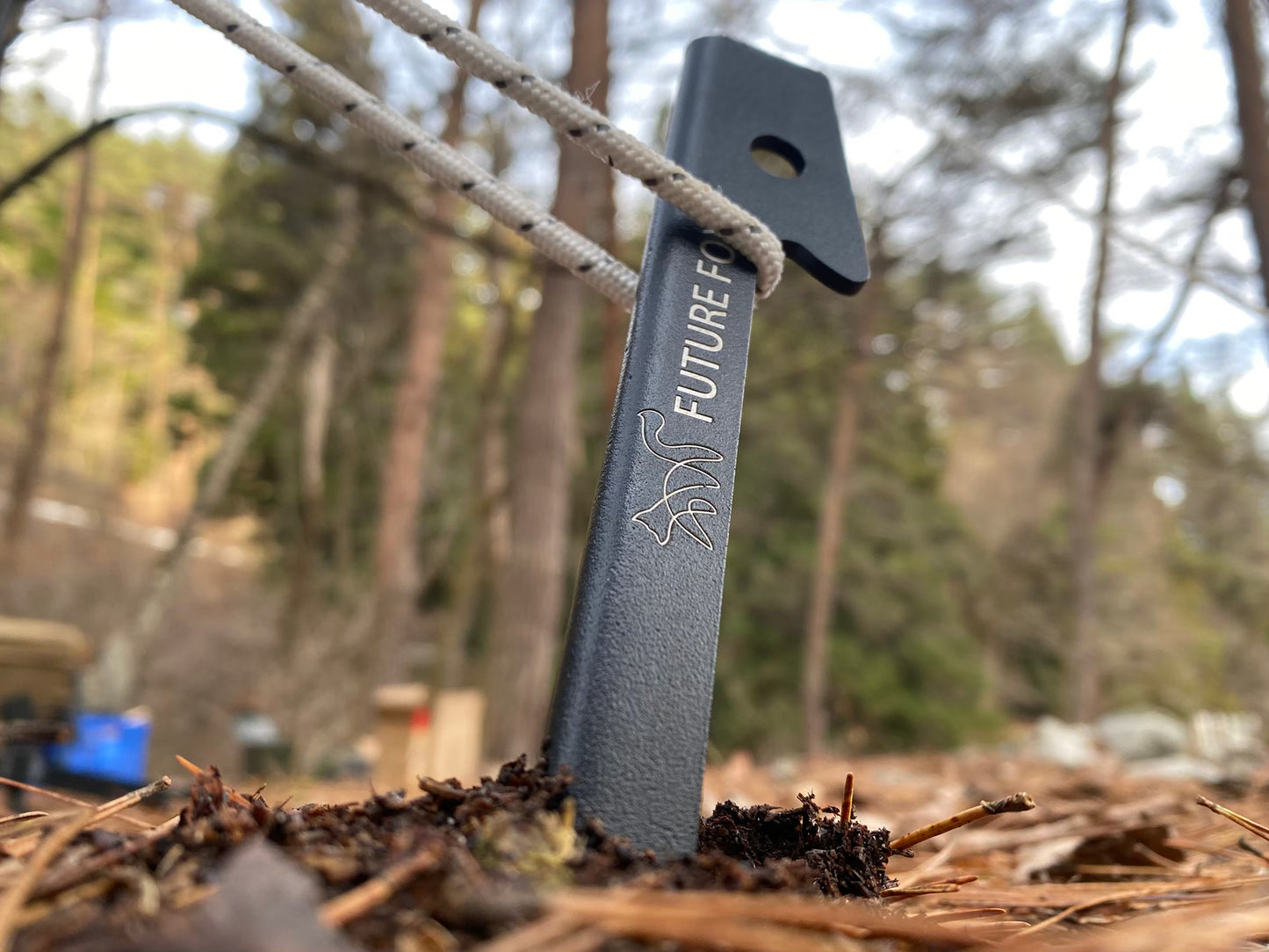 FUTURE FOX キツツキ ペグ 鉄製 30cm 10本セット 【翌営業日発送】