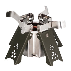 オリーブ【予約販売：1月中旬より順次発送予定】