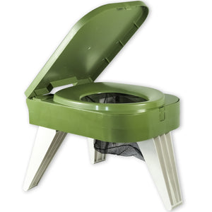 オリーブ【翌営業日発送】