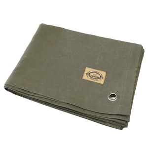 オリーブ【予約販売：1月下旬より順次発送予定】